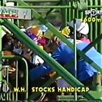 w h stocks stakes bet on